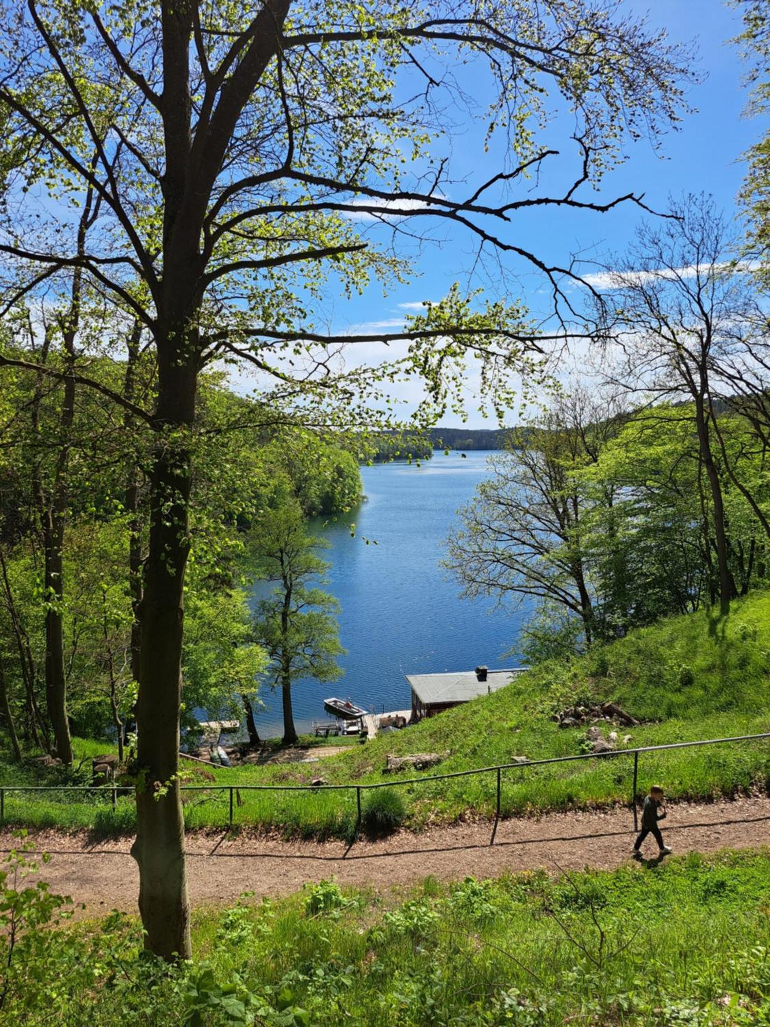 Apartment Familie Windt Feldberger Seenlandschaft